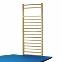 Sportgeräte Langer Wandrek Met Ovalen Stangen - Fitshop